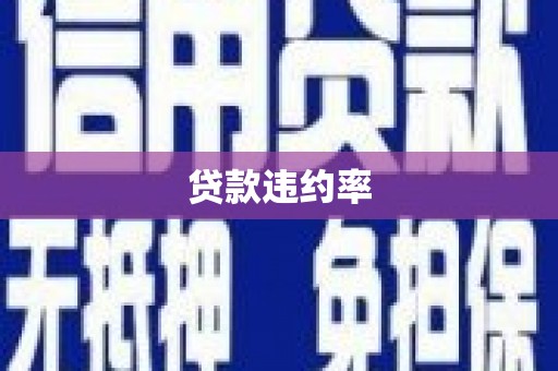 靖宇贷款违约率
