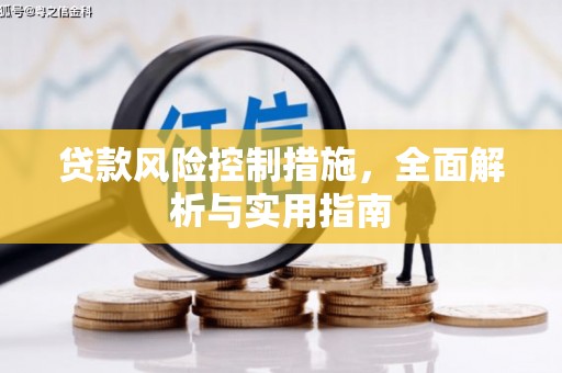 靖宇贷款风险控制措施，全面解析与实用指南