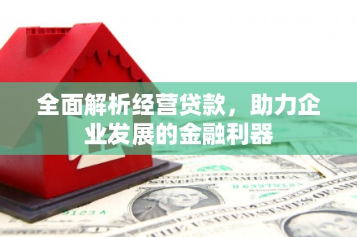 靖宇全面解析经营贷款，助力企业发展的金融利器