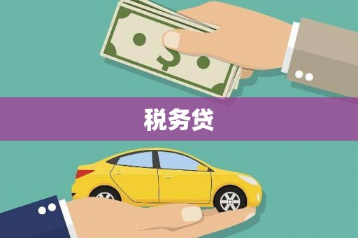 靖宇税务贷