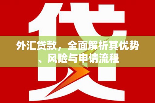 靖宇外汇贷款，全面解析其优势、风险与申请流程