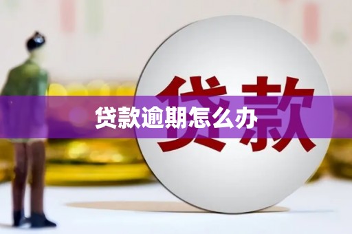 靖宇贷款逾期怎么办