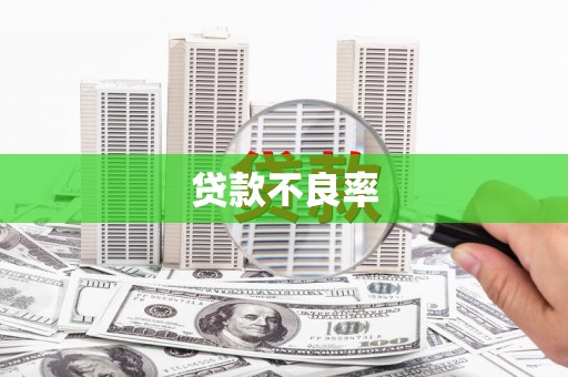 靖宇贷款不良率