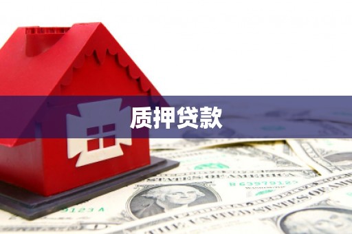 靖宇质押贷款