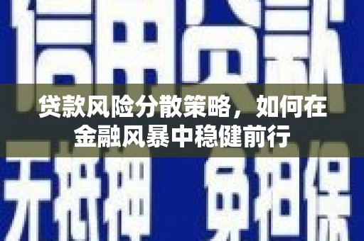 靖宇贷款风险分散策略，如何在金融风暴中稳健前行