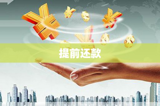 靖宇提前还款