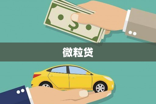 靖宇微粒贷