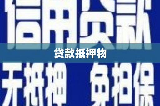 靖宇贷款抵押物