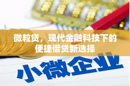 靖宇微粒贷，现代金融科技下的便捷借贷新选择