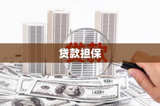 靖宇贷款担保