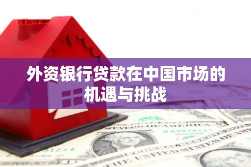 靖宇外资银行贷款在中国市场的机遇与挑战
