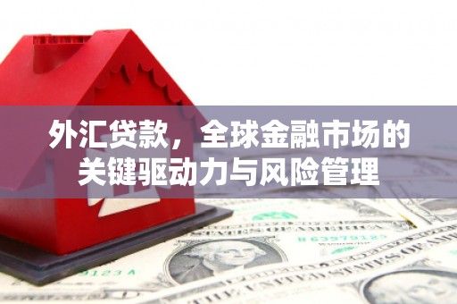 靖宇外汇贷款，全球金融市场的关键驱动力与风险管理