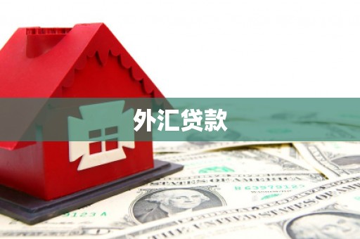 靖宇外汇贷款