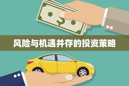 靖宇风险与机遇并存的投资策略