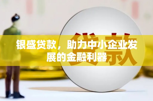 靖宇银盛贷款，助力中小企业发展的金融利器