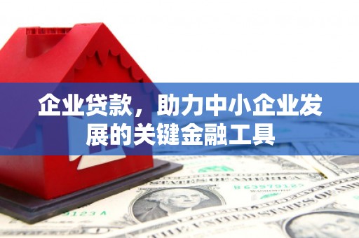 靖宇企业贷款，助力中小企业发展的关键金融工具