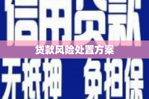 靖宇贷款风险处置方案