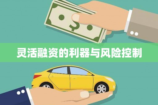 靖宇灵活融资的利器与风险控制
