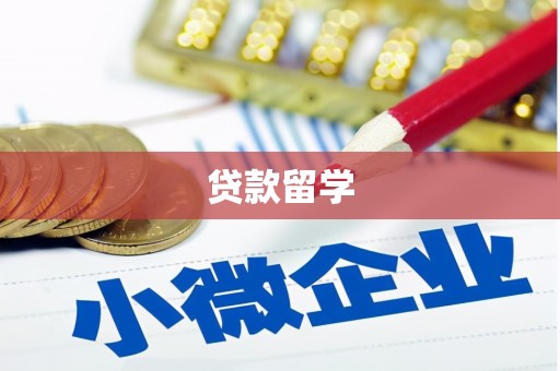 靖宇贷款留学