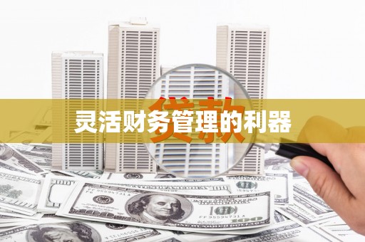 靖宇灵活财务管理的利器