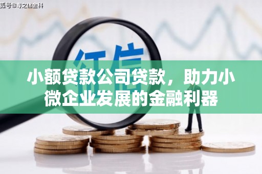 靖宇小额贷款公司贷款，助力小微企业发展的金融利器