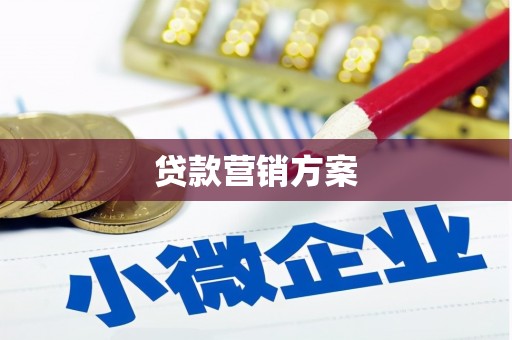 靖宇贷款营销方案