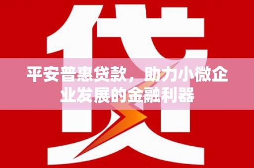 靖宇平安普惠贷款，助力小微企业发展的金融利器