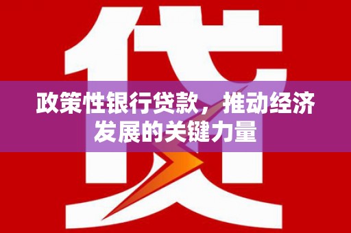 靖宇政策性银行贷款，推动经济发展的关键力量