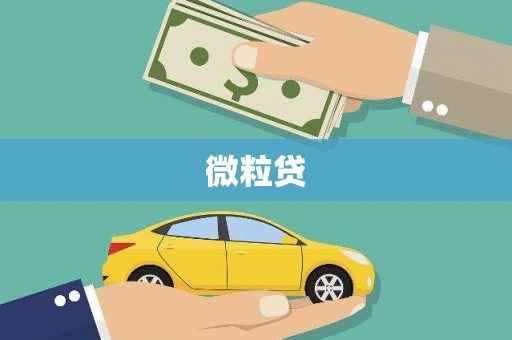 靖宇微粒贷