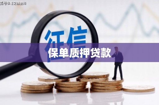 靖宇保单质押贷款