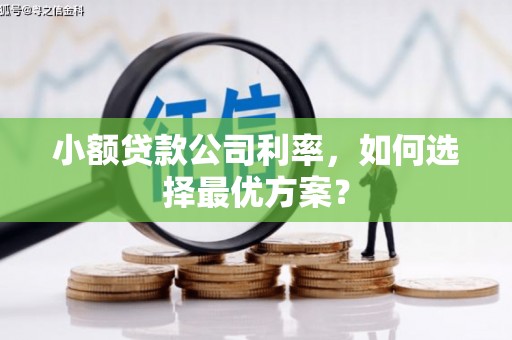 靖宇小额贷款公司利率，如何选择最优方案？