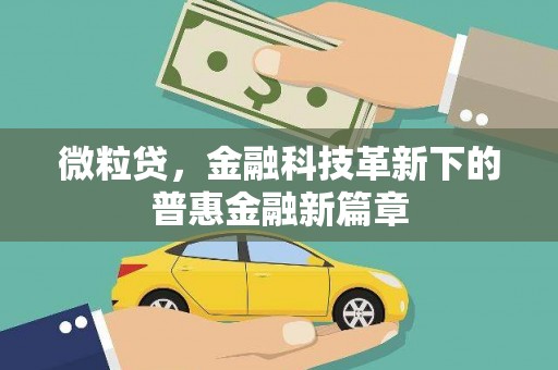 靖宇微粒贷，金融科技革新下的普惠金融新篇章