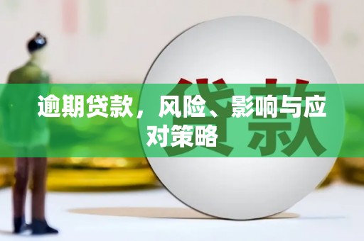 靖宇逾期贷款，风险、影响与应对策略