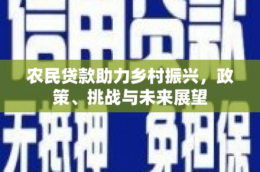 靖宇农民贷款助力乡村振兴，政策、挑战与未来展望