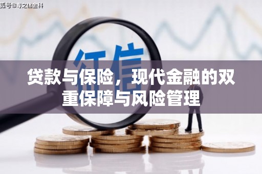 靖宇贷款与保险，现代金融的双重保障与风险管理