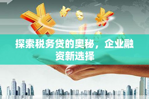 靖宇探索税务贷的奥秘，企业融资新选择