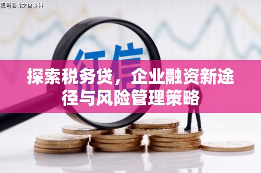 靖宇探索税务贷，企业融资新途径与风险管理策略