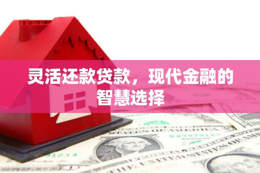 靖宇灵活还款贷款，现代金融的智慧选择