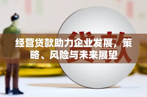 靖宇经营贷款助力企业发展，策略、风险与未来展望