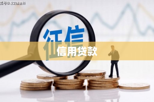 靖宇信用贷款