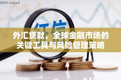 靖宇外汇贷款，全球金融市场的关键工具与风险管理策略