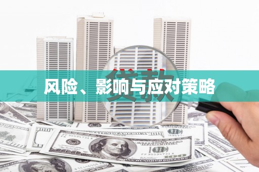 靖宇风险、影响与应对策略