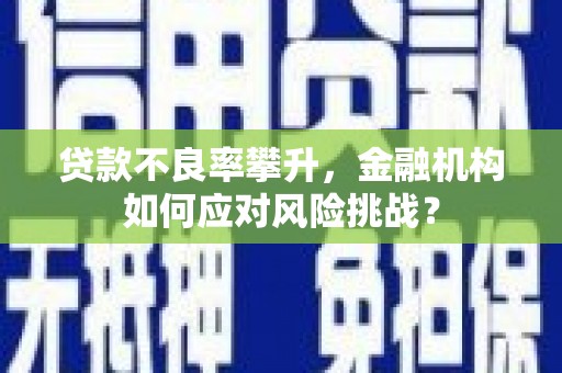 靖宇贷款不良率攀升，金融机构如何应对风险挑战？