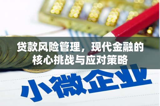 靖宇贷款风险管理，现代金融的核心挑战与应对策略