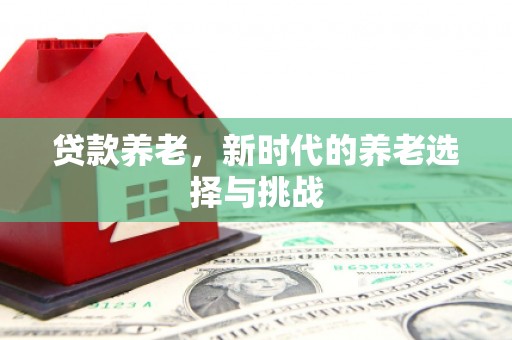 靖宇贷款养老，新时代的养老选择与挑战