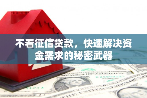 靖宇不看征信贷款，快速解决资金需求的秘密武器