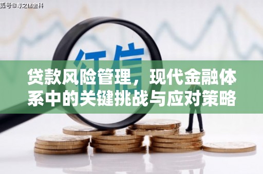 靖宇贷款风险管理，现代金融体系中的关键挑战与应对策略