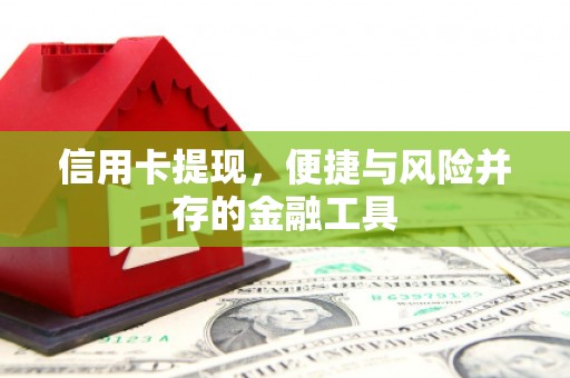靖宇信用卡提现，便捷与风险并存的金融工具