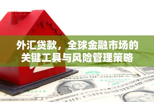 靖宇外汇贷款，全球金融市场的关键工具与风险管理策略