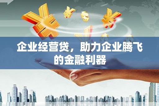靖宇企业经营贷，助力企业腾飞的金融利器